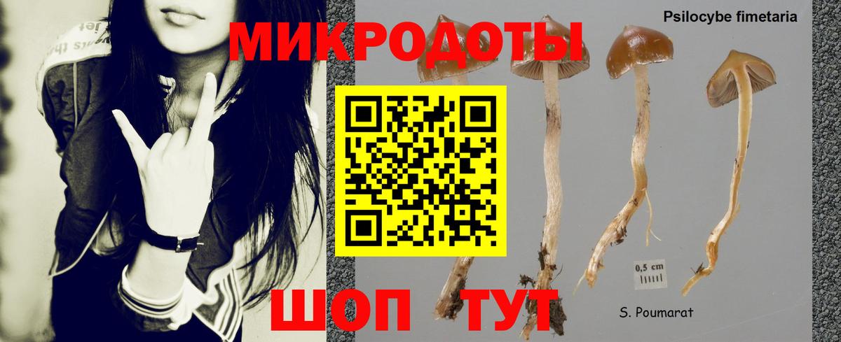 Сыктывкар  Псилоцибиновые грибы Psilocybine cubensis  Вход с VPN 